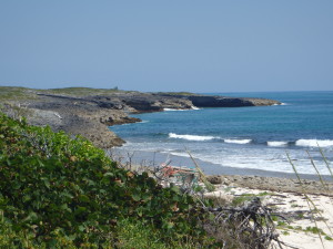 The ocean from the roof top deck of Pete's Pub