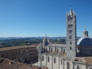 The Duomo In Siena