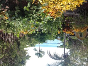 The View from Our Deck