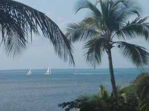 Sailboat race outside of Fry's Mangrove