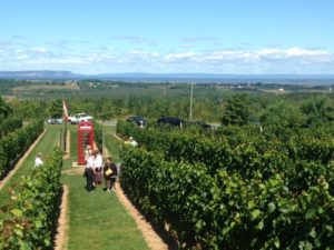View from Luckett's Vineyard of the Bay of Fundy in the Annapolis Valley